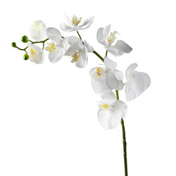 Orchid Faux Single Stem 30" - White