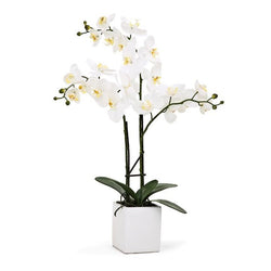 Orchid Potted Faux Triple Stem 23" - White